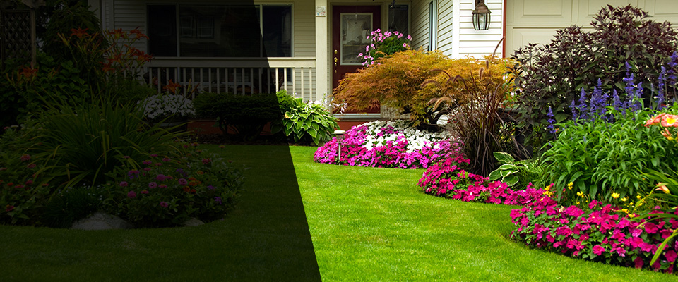 Dundee Landscapers